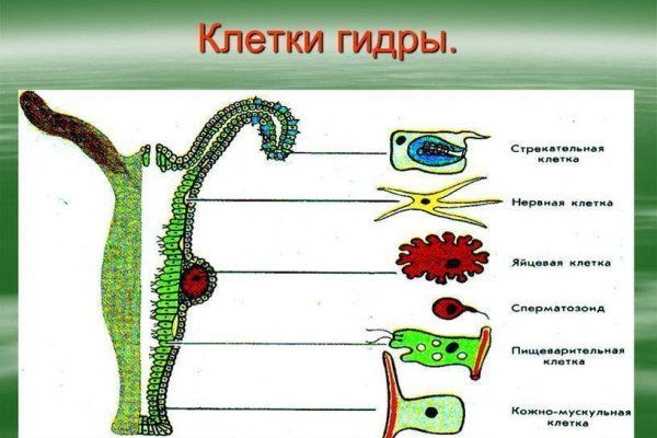 Купить счастье в москве