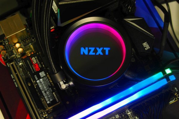 Kraken 20at net