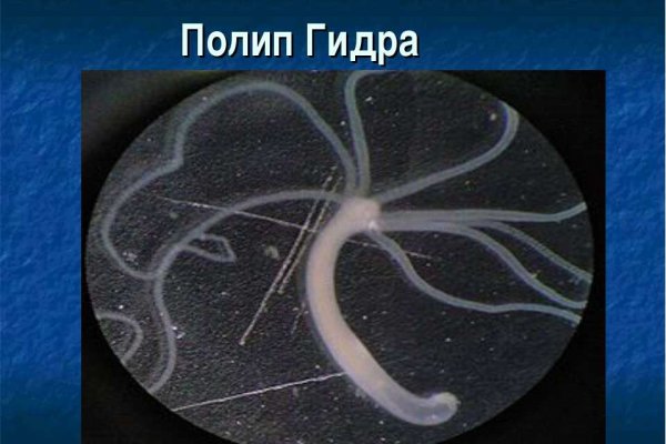 Почему в кракене пользователь не найден