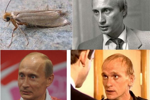 Кракен супернет вход