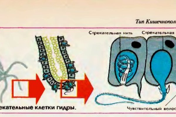 Кракен сбой