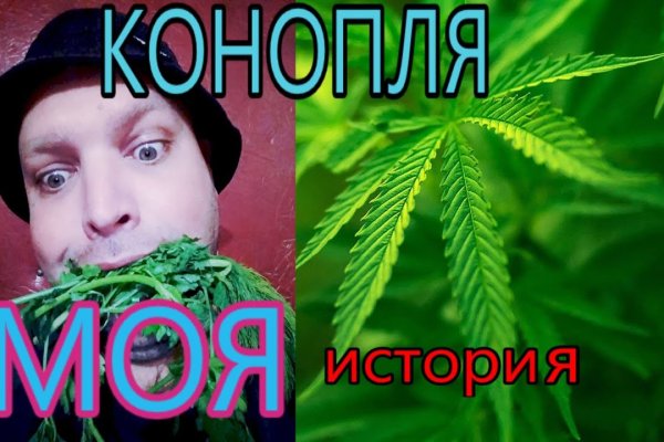 Kraken ссылка на сайт актуальная