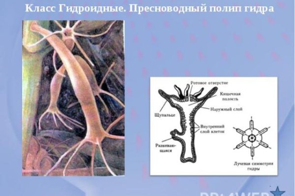 Ссылки для tor