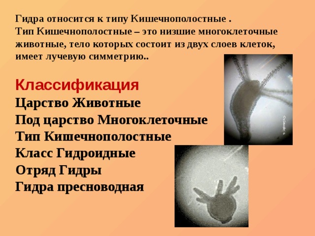 Кракен ссылка на сайт com