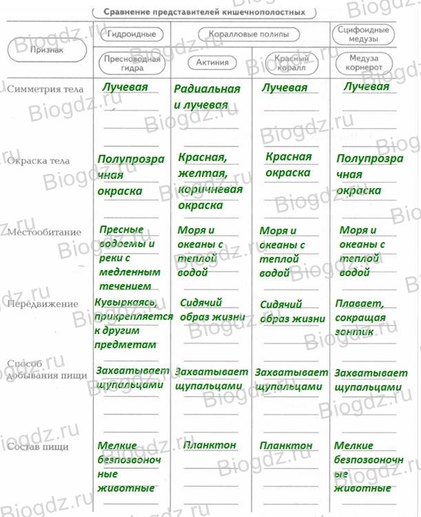 Ссылка кракен через тор